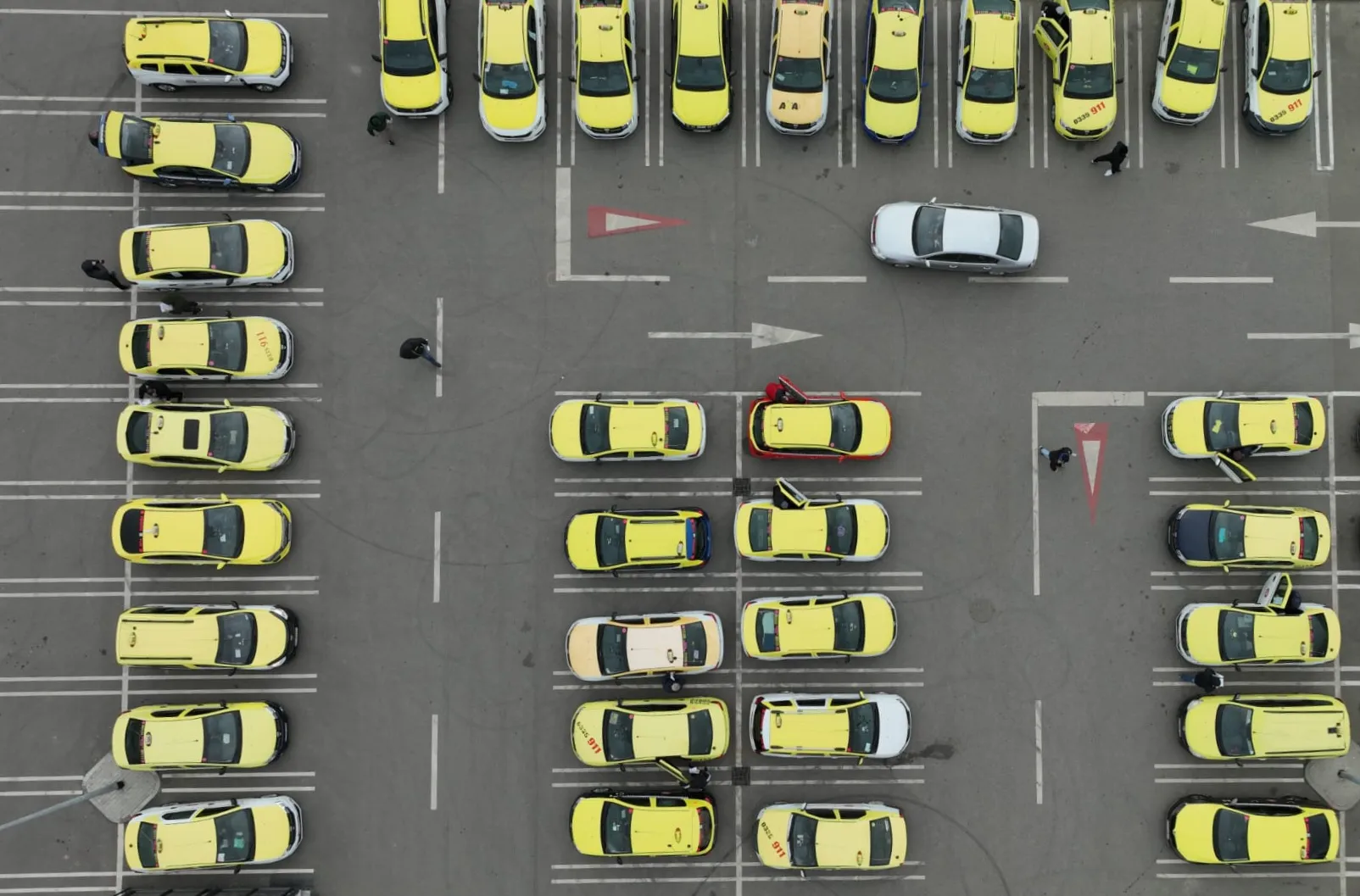 Flota masini taxi PROMTO