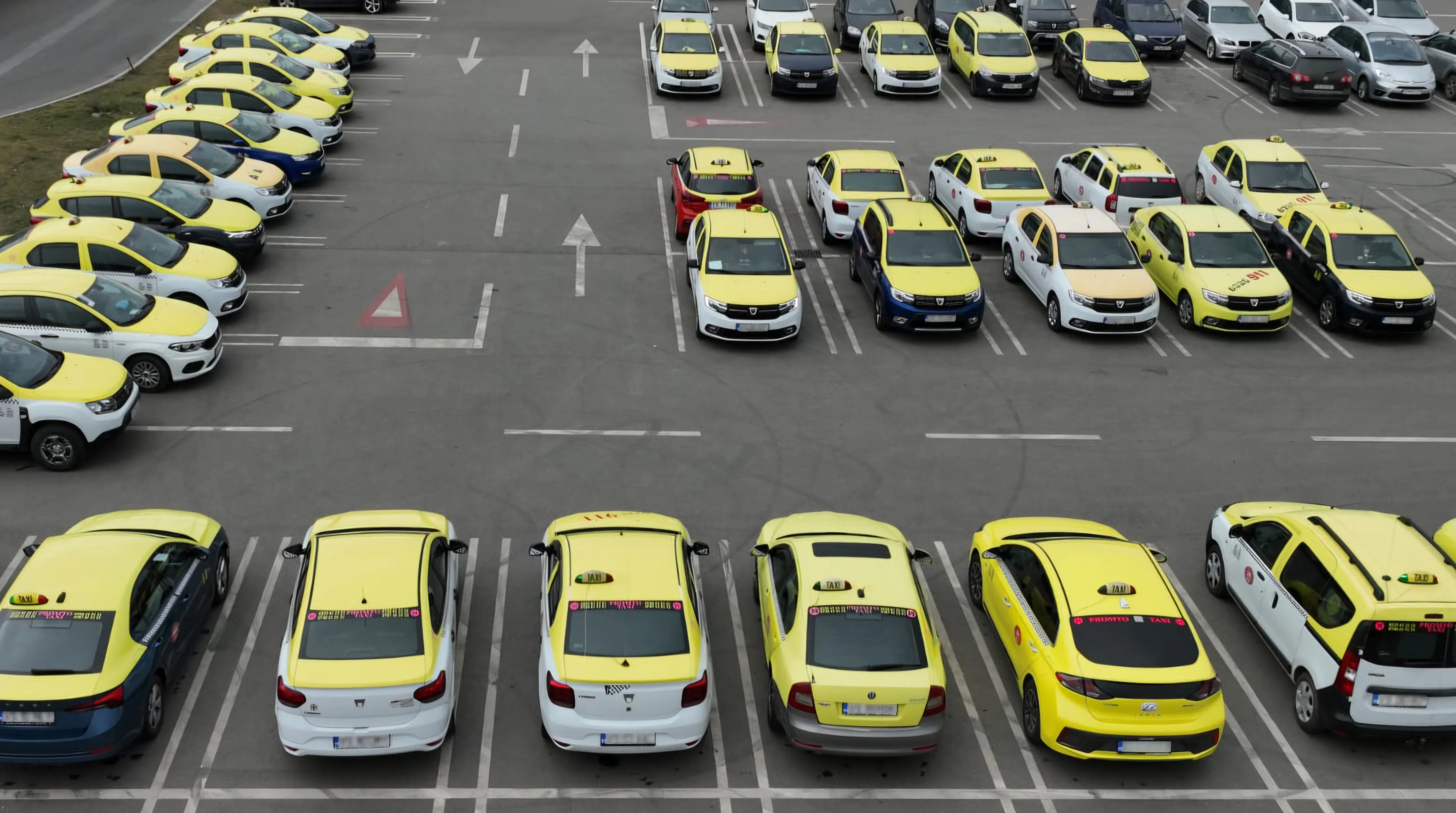 Flota masini taxi PROMTO